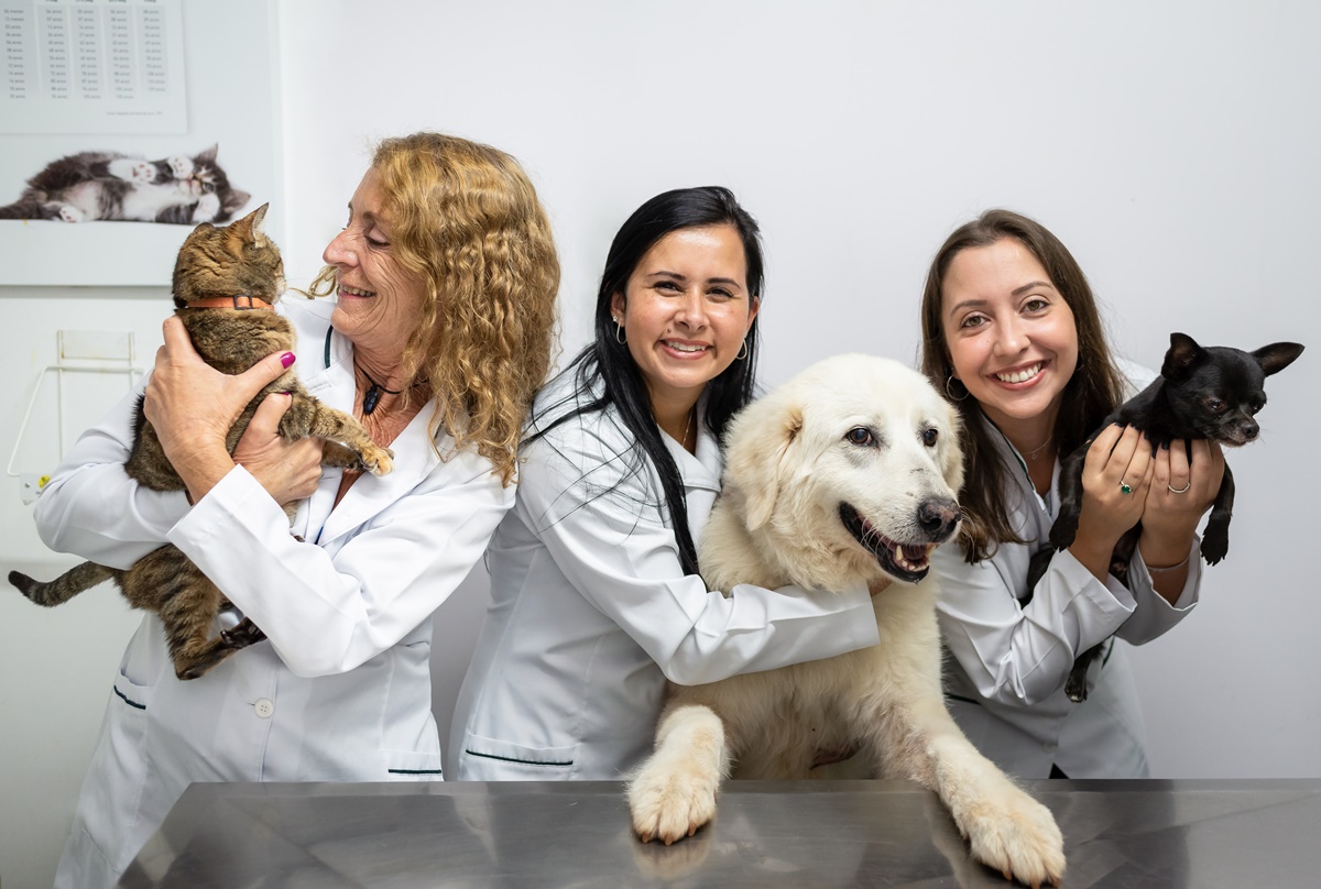 Quem Somos Clínica Veterinária 24h Amigo Bicho Petrópolis Quem Somos Clínica Veterinária 24h Amigo Bicho Petrópolis